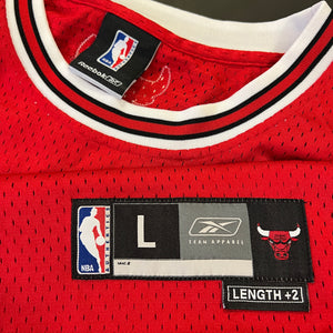 Vintage Ben Gordon Chicago Bulls Jersey L/XL