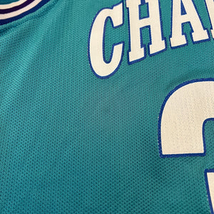 Vintage Alonzo Mourning Hornets Champion Jersey M