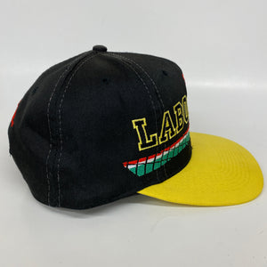 Vintage Terry Labonte NASCAR Snapback Hat